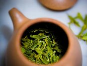 logo Canton Tea