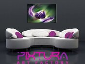 logo Pixtura