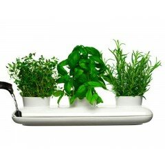  Macetero triple para hierbas aromáticas y plantas
