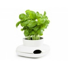 Macetero para hierbas aromáticas y plantas