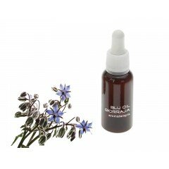 Aceite esencial Borraja