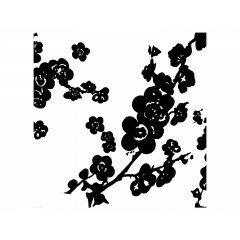 Papel Almendro blanco