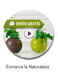 Enmarca la naturaleza Flowebox