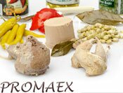 logo Promaex